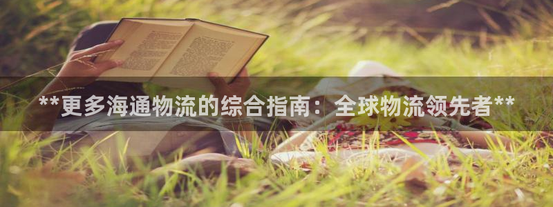 28圈.ccmpc预测