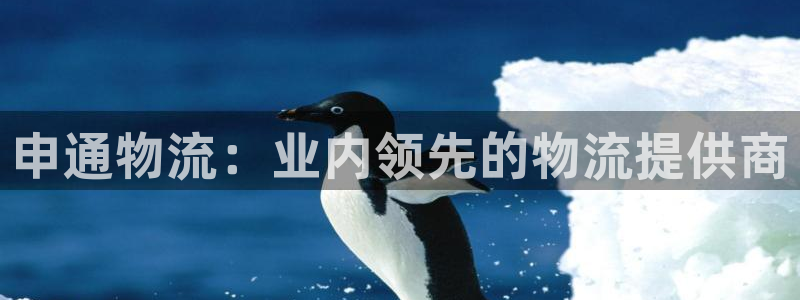 28圈比特28预测在线预测