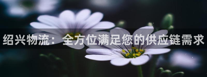 28圈预测加拿大师准：绍兴物流：全方