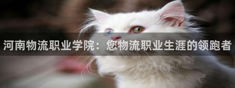 28圈加拿大是什么：河南物流职业学院