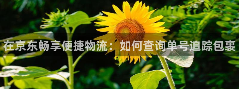 28圈退款：在京东畅享便捷物流：如何
