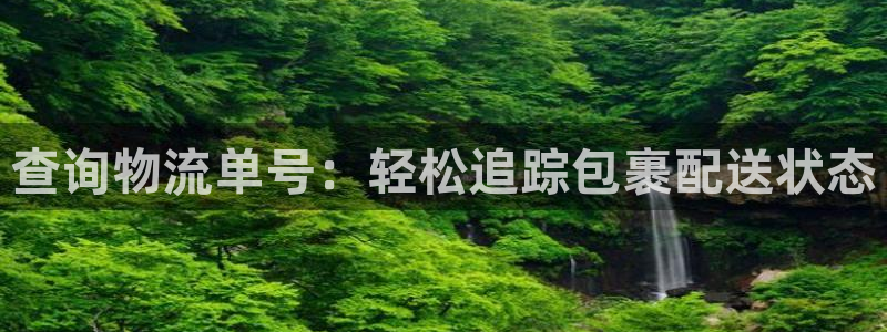 28圈登录流程：查询物流单号：轻松追