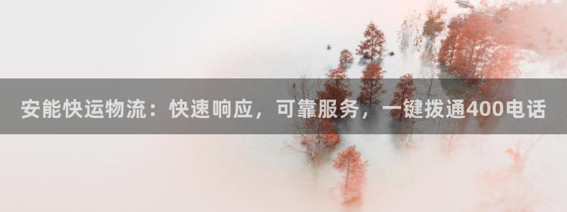 28圈官网网站
