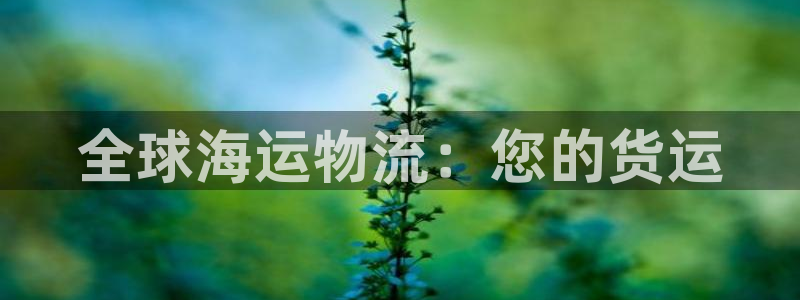 28圈游戏官网版