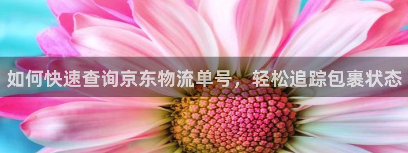 28圈p扣除：如何快速查询京东物流单