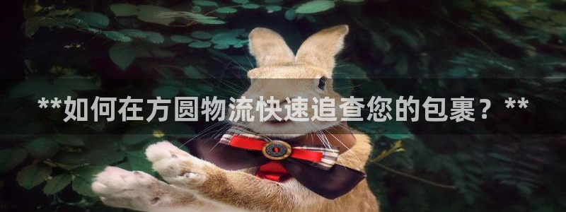 28圈链官网