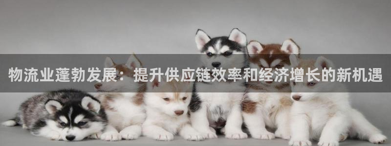 28圈推广链接是多少钱一个