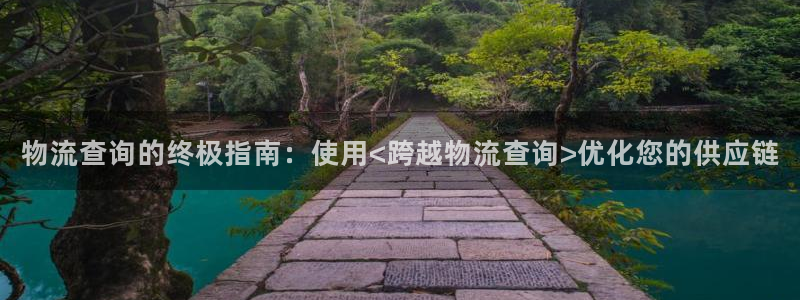 28圈登录网：物流查询的终极指南：使