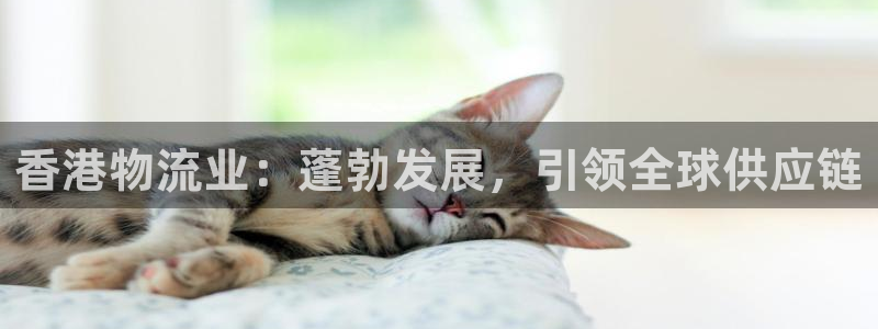 28圈游戏官网入口：香港物流业：蓬勃