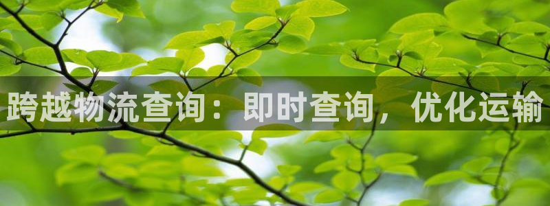 28圈选28ng官网