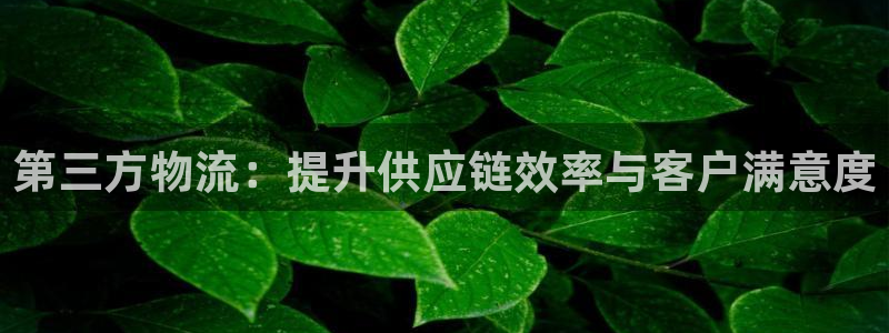 28圈APP是干什么的：第三方物流：