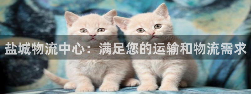 28圈软件：盐城物流中心：满足您的运