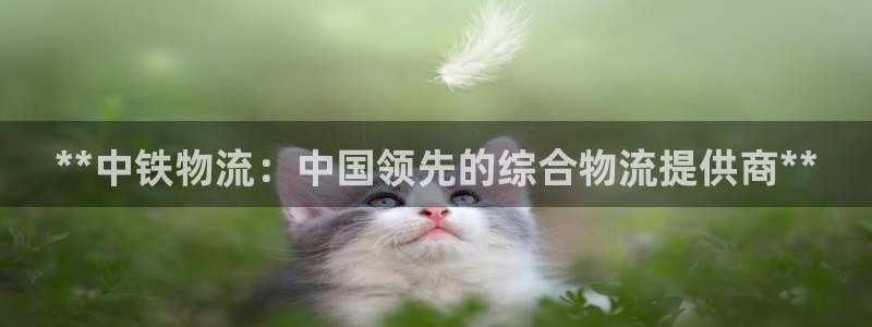 28圈登录流程：**中铁物流：中国领