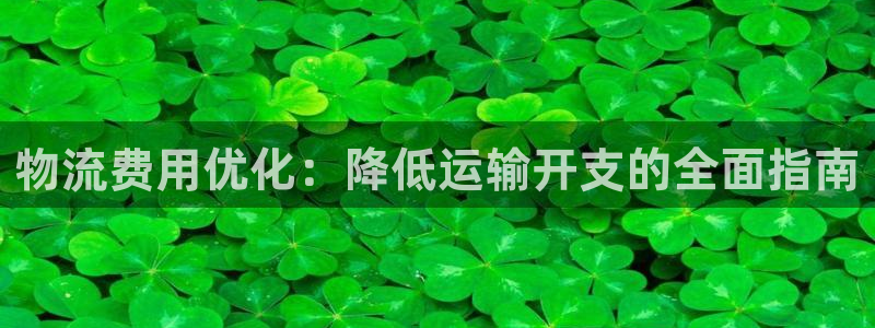 28圈连接：物流费用优化：降低运输开
