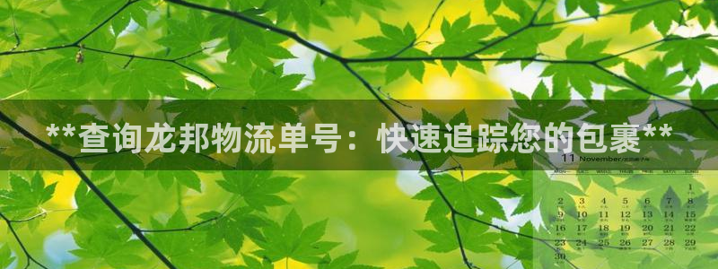 28圈APP是干什么的：**查询龙邦