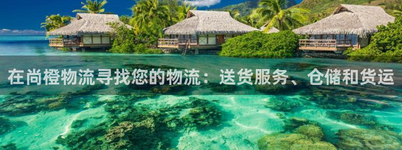 28圈加拿大真假怎么看：在尚橙物流寻