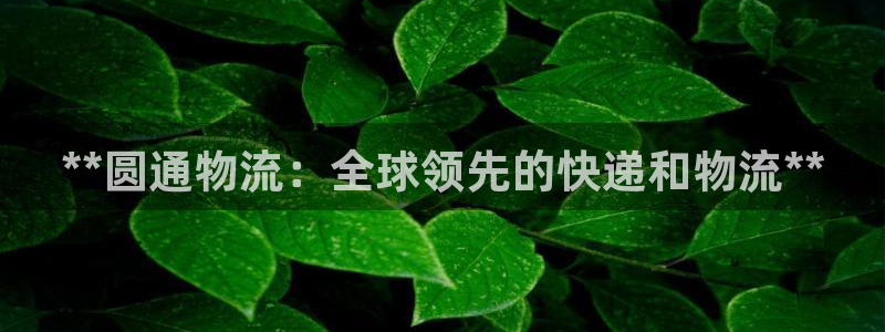 28圈提款一直没到：**圆通物流：全