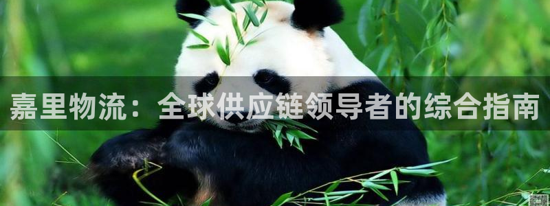 28圈网站平台：嘉里物流：全球供应链