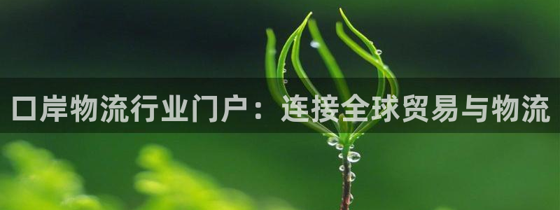 28圈注册登录链接流程：口岸物流行业