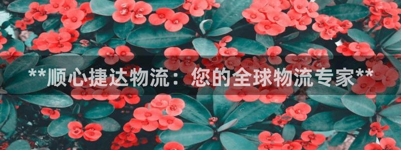 28圈pg如何退钱：**顺心捷达物流