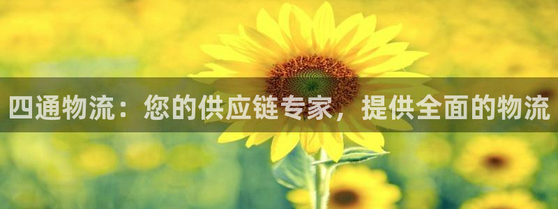 28圈能提现吗