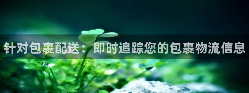 28圈.ccmo：针对包裹配送：即时