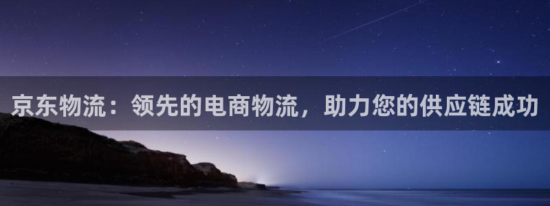 28圈旗下：京东物流：领先的电商物流