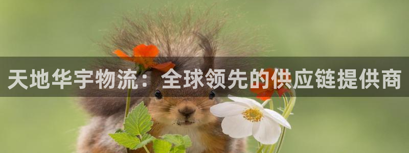28圈提现不到账