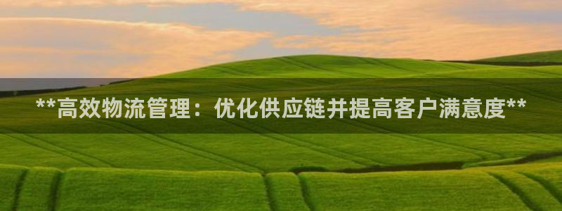 28圈注册上限是啥意思：**高效物流