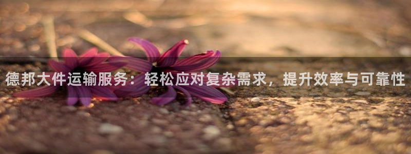 28圈推广链接是多少钱一个：德邦大件
