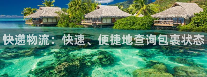 28圈ccm官网版：快递物流：快速、