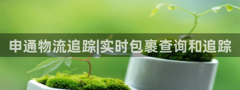 28圈加拿大是什么：申通物流追踪|实