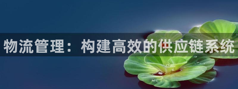 南宫28圈官网版