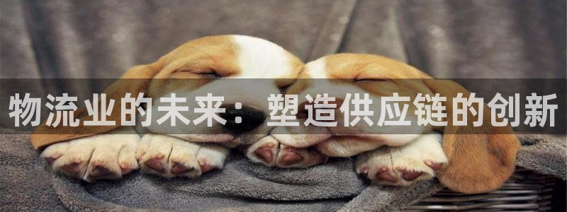 28圈体育下载：物流业的未来：塑造供