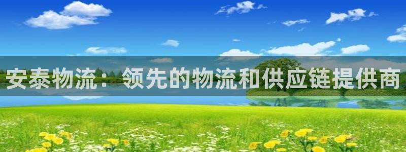 28圈怎么下载不了：安泰物流：领先的