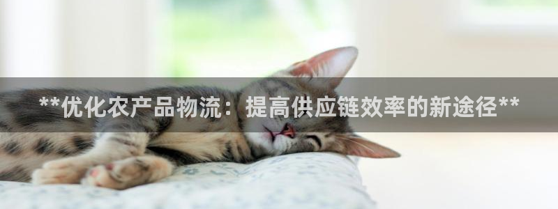 28圈娱乐官网网页下载：**优化农产