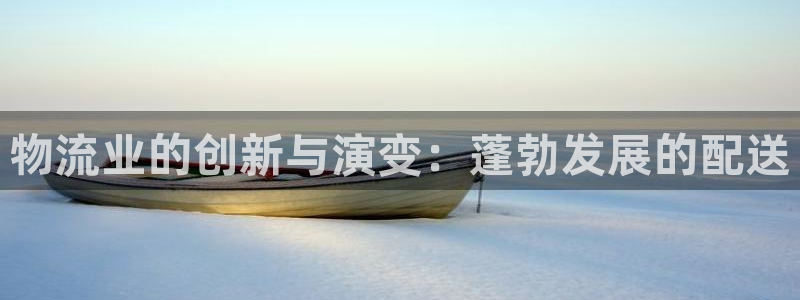 28圈稳吗：物流业的创新与演变：蓬勃