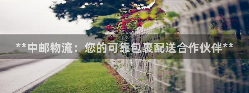 28圈预测加拿大师准