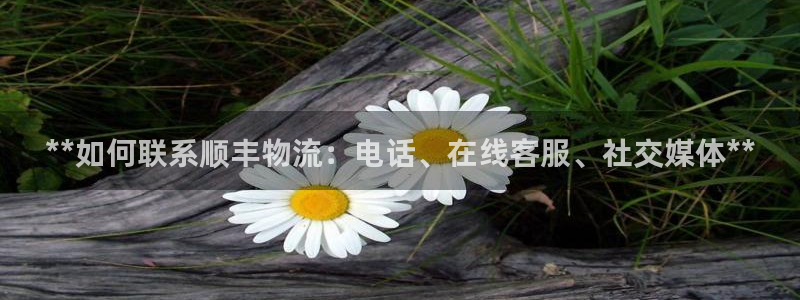 28圈麻将胡了：**如何联系顺丰物流