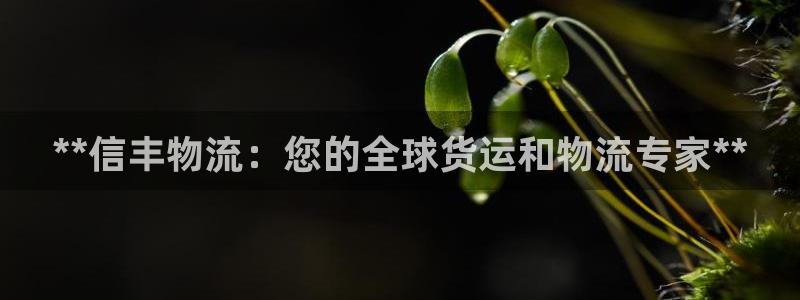 28圈.ccm正版：**信丰物流：您