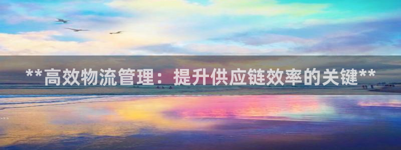 28圈模拟器：**高效物流管理：提升