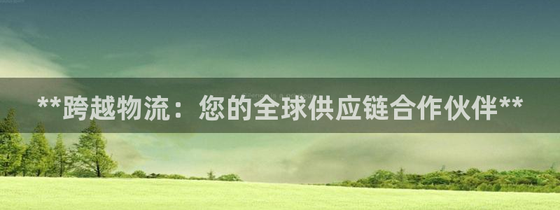28圈游戏官网入口：**跨越物流：您