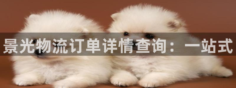 28圈官网版所有版本：景光物流订单详