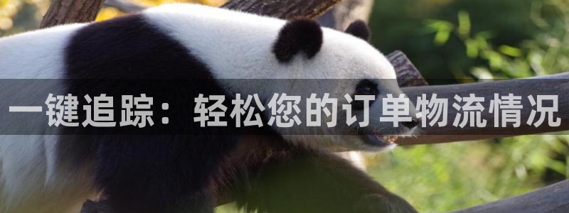 28圈注册官网：一键追踪：轻松您的订