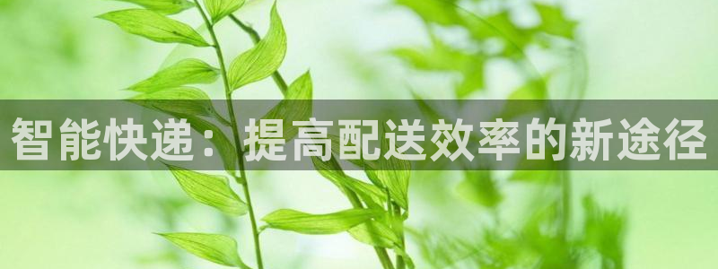 28圈圈助手：智能快递：提高配送效率
