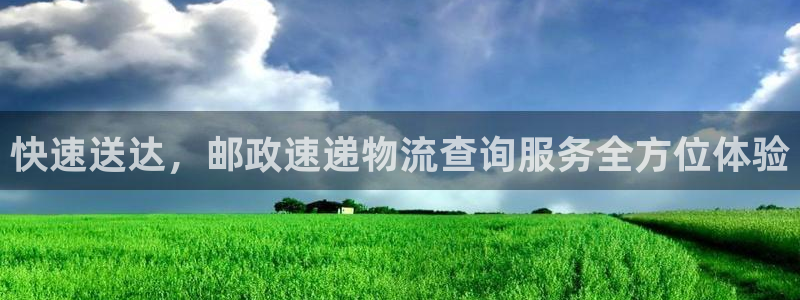28圈注册网站多少钱一个：快速送达，