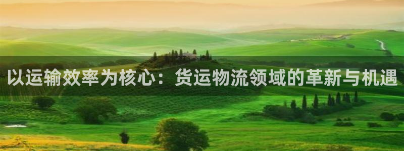28圈注册号：以运输效率为核心：货运
