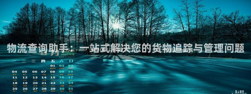 28圈模拟器在线使用：物流查询助手：
