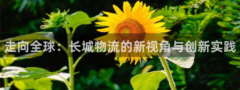 自行车28圈是什么意思：走向全球：长