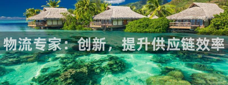 28圈注册网页版：物流专家：创新，提